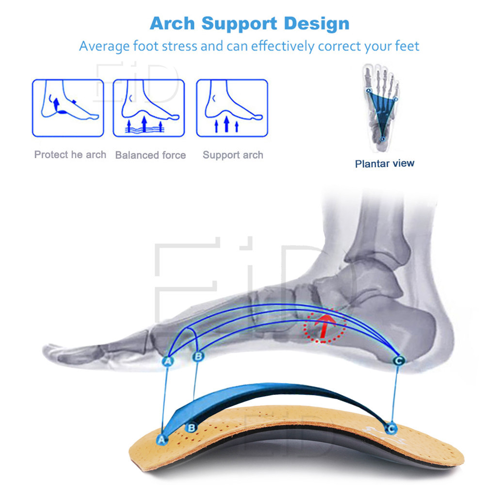 Da Lót Orthotic Bò Chân Đệm Gó - đánh giá và giá Men Shoes Outlet